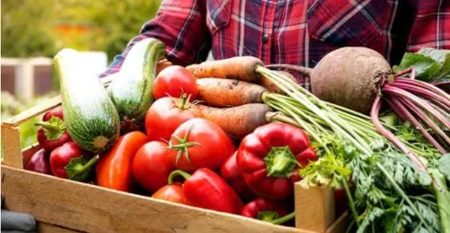 Thoughtful-Insights-Thoughtful-Advisors-11-21-2025_09_07_PM