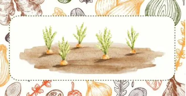 Thoughtful-Insights-Thoughtful-Advisors-12-03-2025_06_59_PM