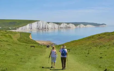 Don’t Let These Costly Retirement Mistakes Drain Your Nest Egg